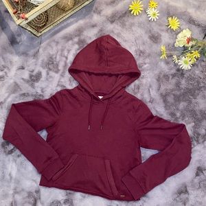 Cropped Hollister hoodie